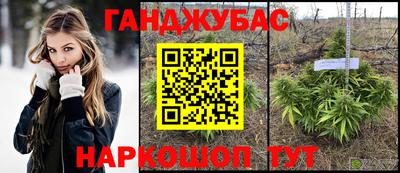 стаф Бийск