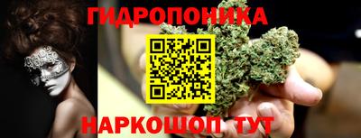 шишки Берёзовский