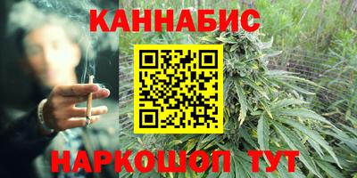шишки Берёзовский