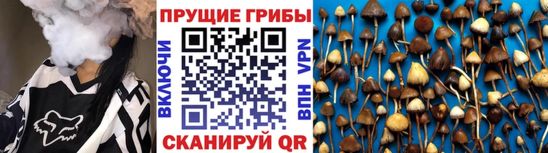 Галлюциногенные грибы Magic Shrooms  omg сайт  Хабаровск 