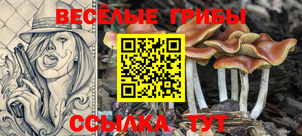 Псилоцибиновые грибы мухоморы  Вход с VPN  Хабаровск 